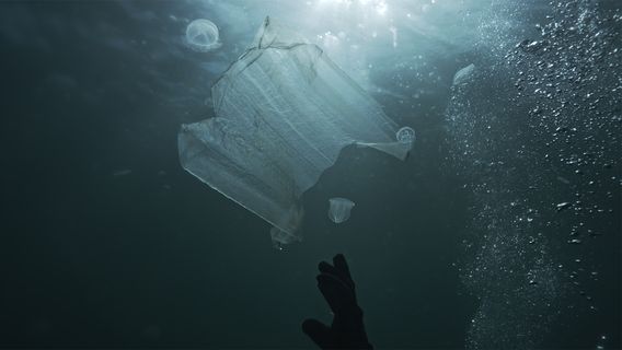 Аз, Морето - Живот в мълчание - image 2