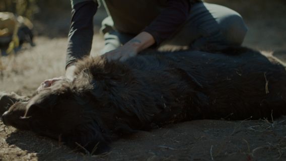 Entre Siete - image 3