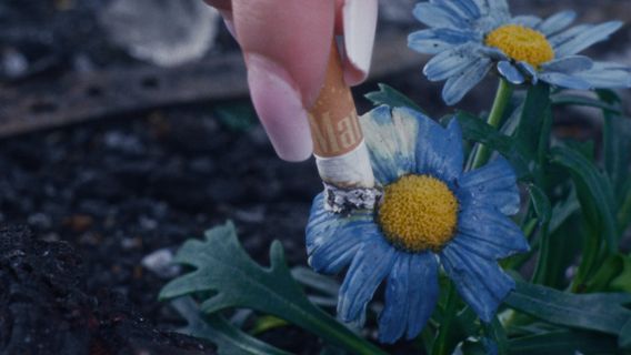 BECAUSE OF (U) - image 3