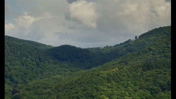 There, far away from here - image 2