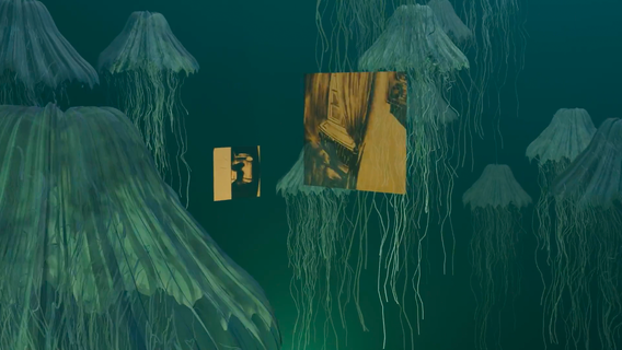 Bolyongó - kép 1