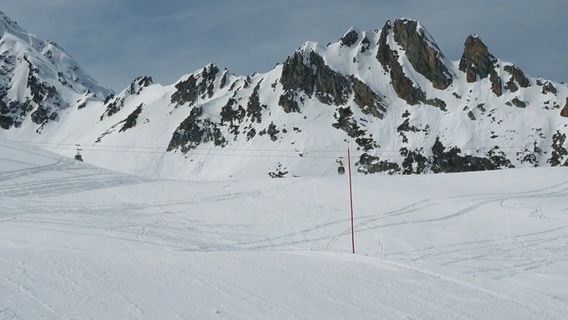 La Saisonnière imagine de copertă
