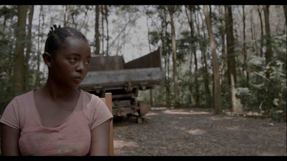 Semillas de Kivu borítókép