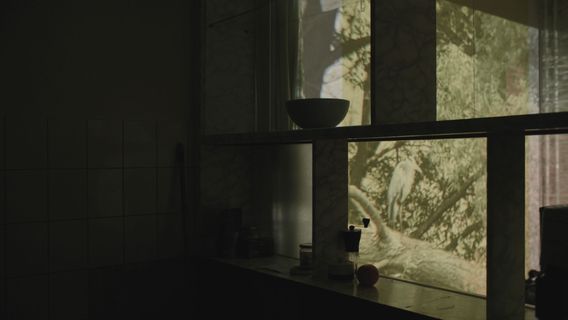 Körperin - kép 2