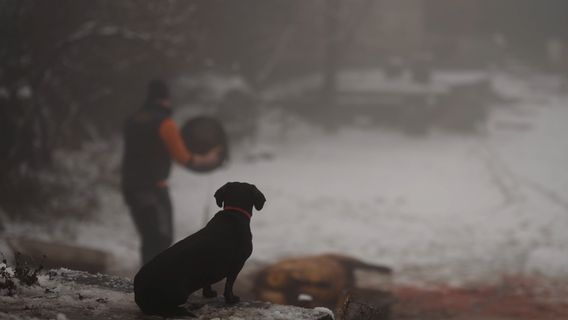 Craciunul in Maramures borítókép