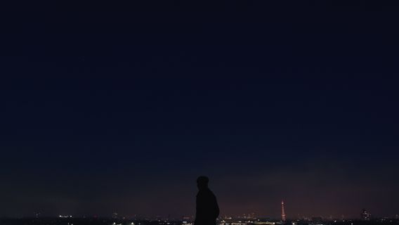 Fliegen heißt, den Himmel suchen imagine de copertă