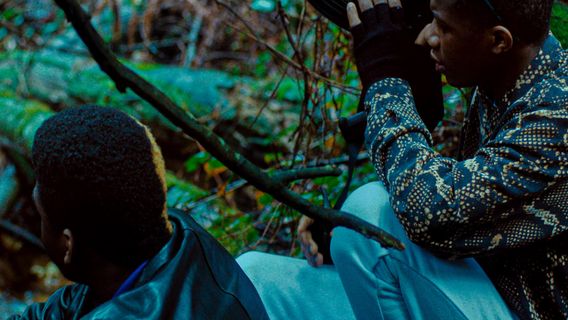 Sonido: Ivans & Tobis borítókép