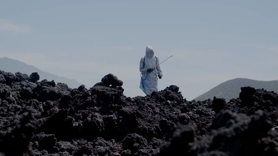 Strata Incognita - kép 2