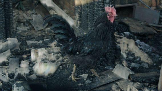 Рисуй наш дом - imagine 2