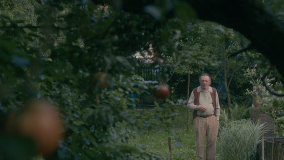 Egyt Tiszta Pillanat - imagine 1