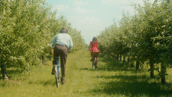 Egyt Tiszta Pillanat - imagine 3