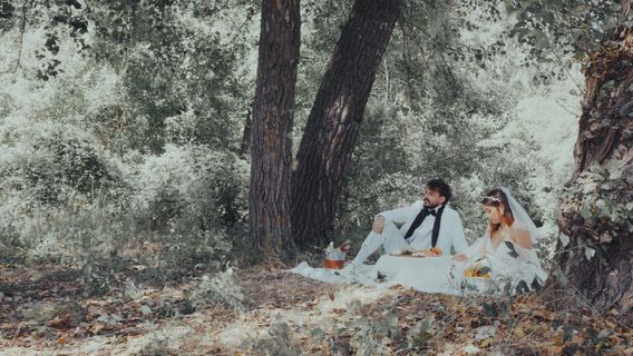 Nu ne-am iubit niciodată cover image