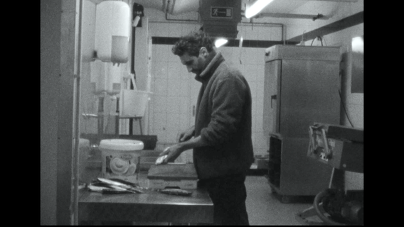 Wie Welse jagen - image 3