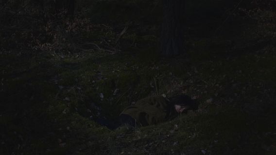 Auch du nur eine Melodie - image 1