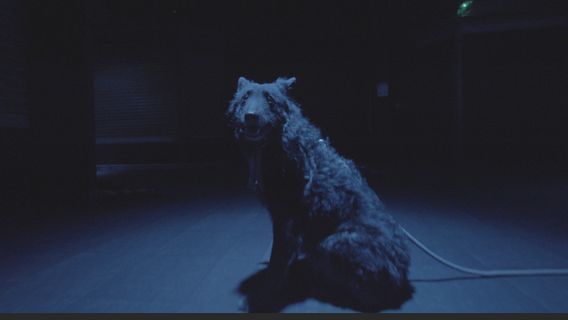 We Bark in the Same Tone of Voice cover image