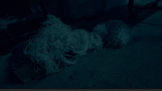 We Bark in the Same Tone of Voice - image 2