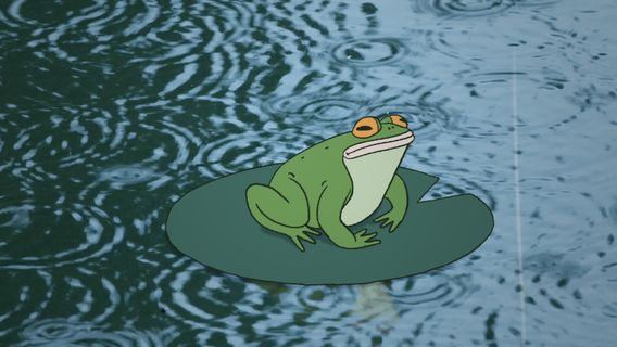 Dans l'ombre du Héron borítókép