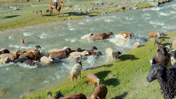 Jailoogo Karai Uzak Jol borítókép