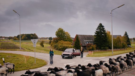 Das Lamm im Raum borítókép