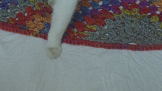 Henry is a Girl Who Likes to Sleep - imagine 1