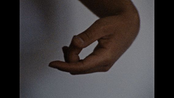 o - imagine 3