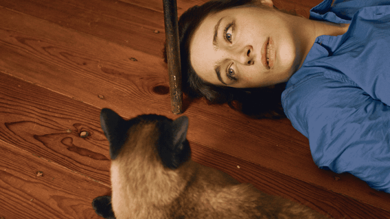 Dois e Um Gato - imagine 1