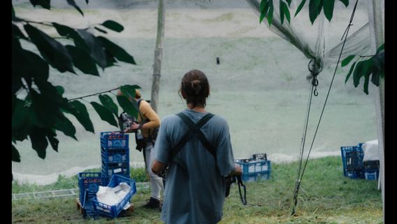 Living Traces - image 3