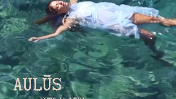 AULŪS - image 1