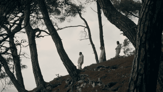 Prosvetlenye - kép 2