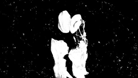 Rómeó és Júlia - kép 2