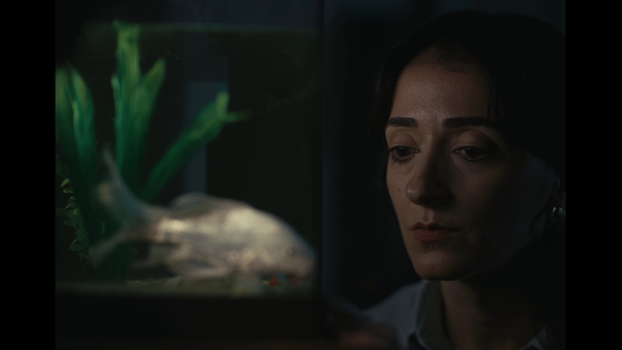 Herkesin Unuttuğu Hikaye - imagine 2