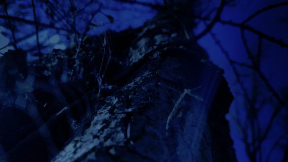 Stranded in the night - image 1