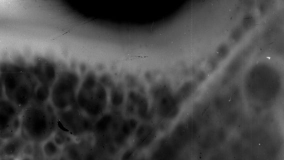 Origen - image 3