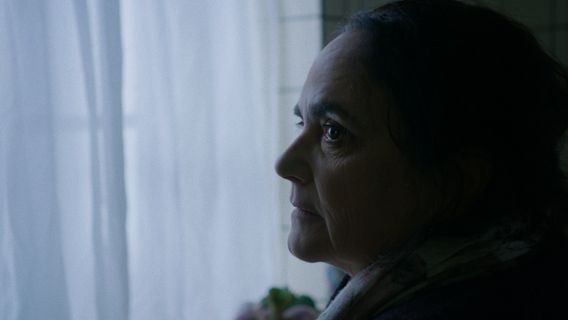 DOLORES - image 3