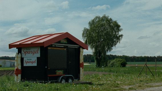 Spargel Tot, Kirschen Rot - image 2