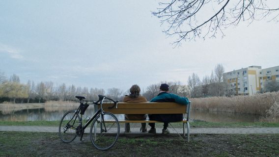 Gyökerek cover image