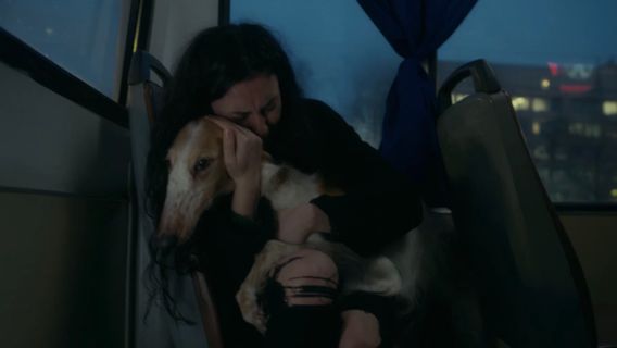 Белая пушистая cover image