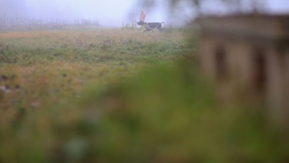 Napušteni vrtovi - image 3