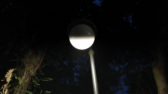 flickers of flashing lives - image 2