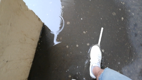 flickers of flashing lives cover image