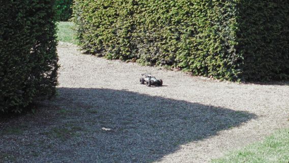 VON ALLEN SEITEN - image 3