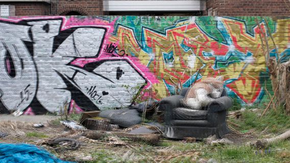 My Peckham Experiment - image 2