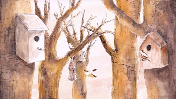 Le chant des oiseaux - image 2