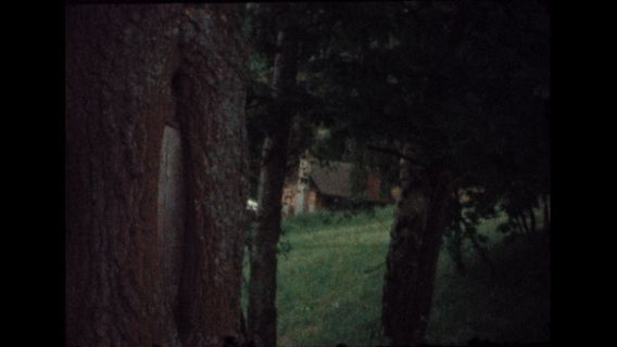 Já, Vlásek - image 2