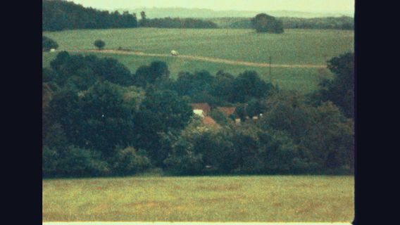 Já, Vlásek - image 3