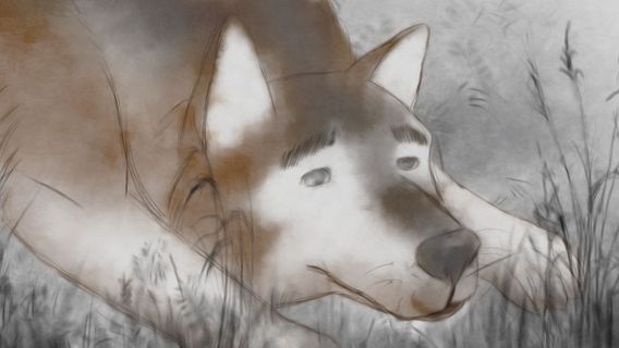 Malinovye Gory - kép 2