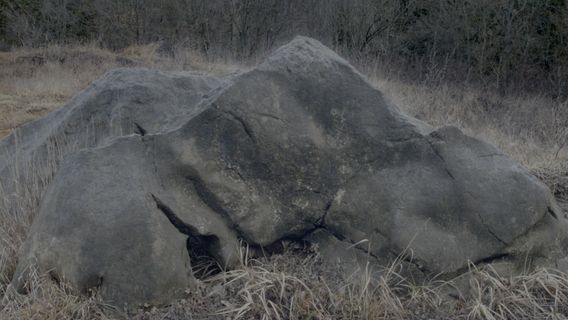 Radije bih bila kamen - kép 3