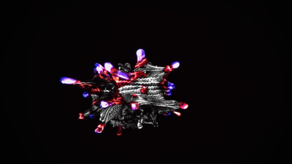 Symbionts - imagine 3