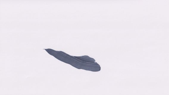 Subharmonics - image 1