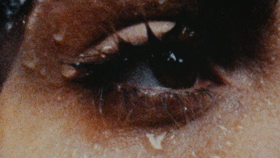 The Language of Love - kép 2